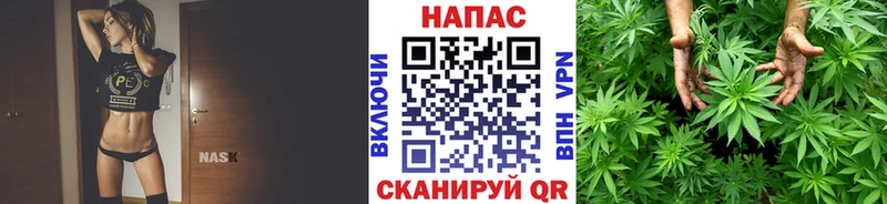 Купить где  Чердынь  МАРИХУАНА индика 